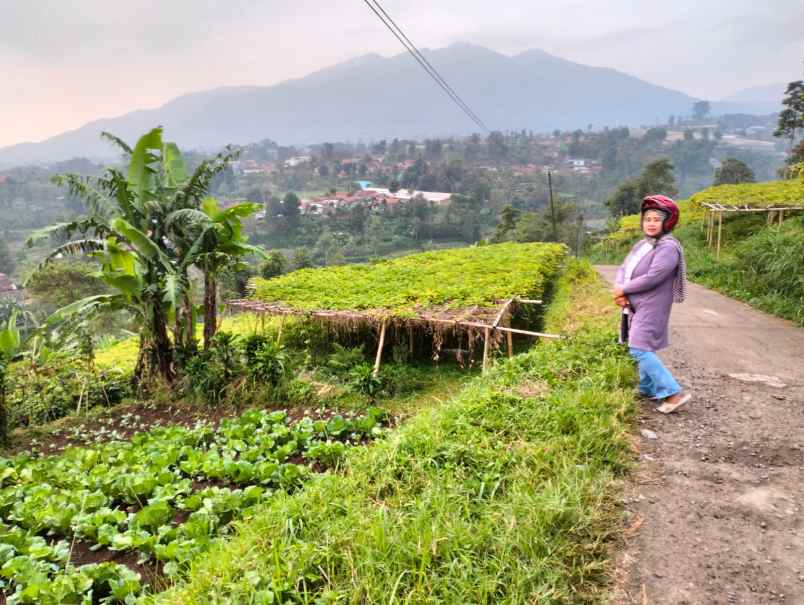 dijual tanah desa pasirhalang kecamatan