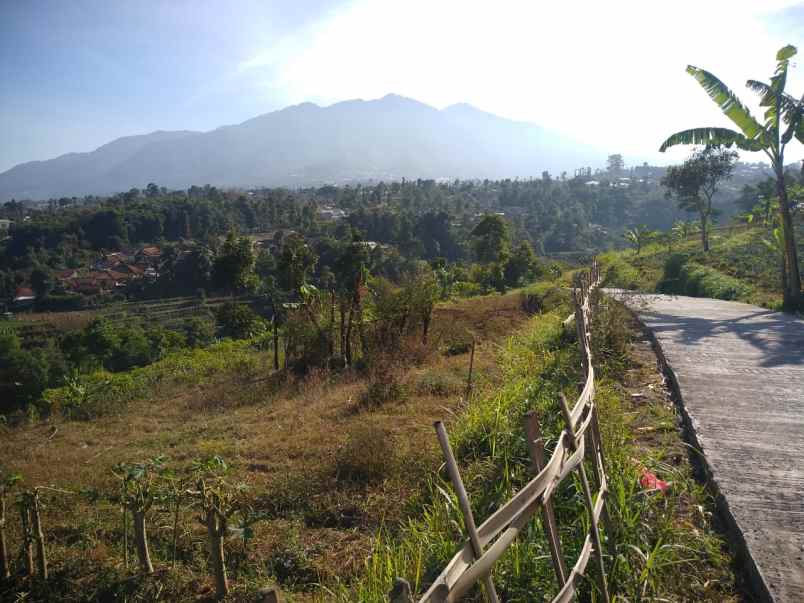 dijual tanah desa pasirhalang kecamatan