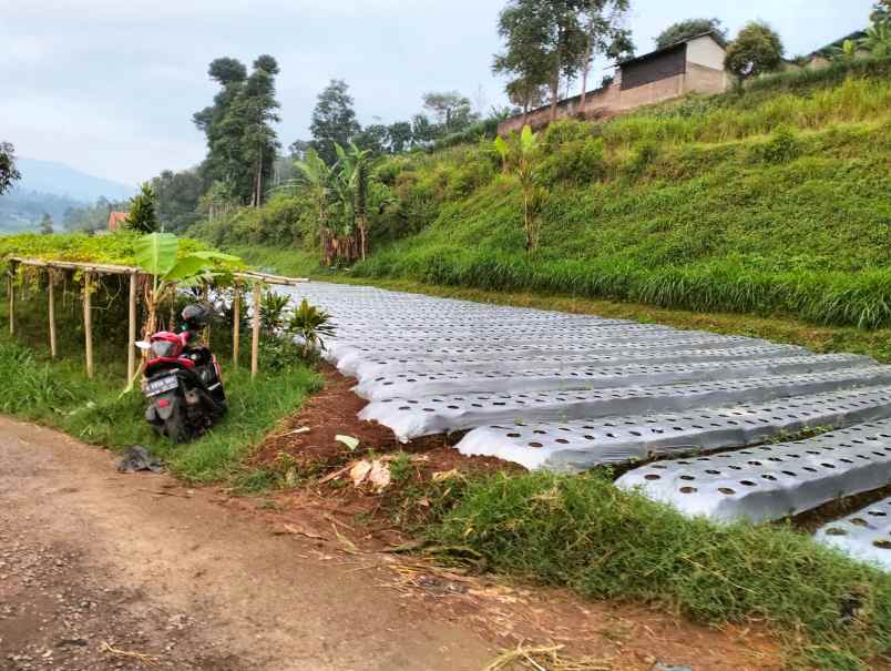 dijual tanah desa pasirhalang kecamatan