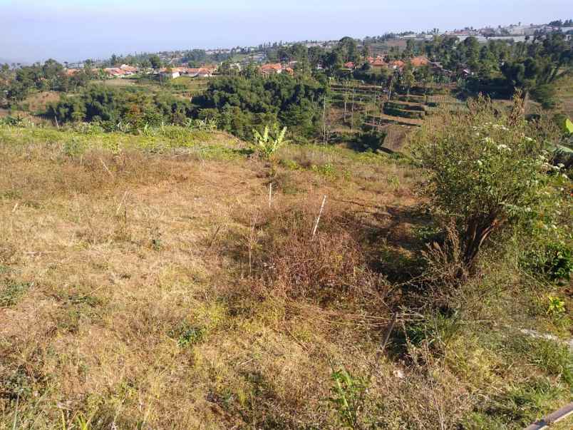 dijual tanah desa pasirhalang kecamatan