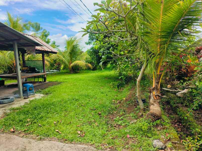 dijual tanah desa selemadeg kec