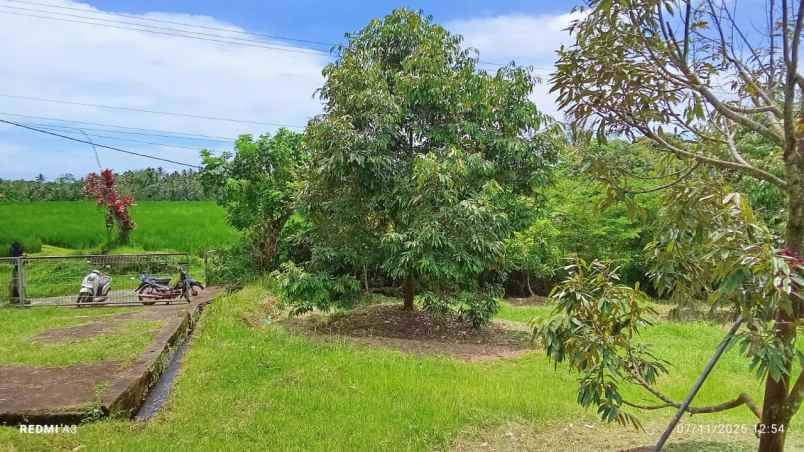 dijual tanah desa tiyinggading kec