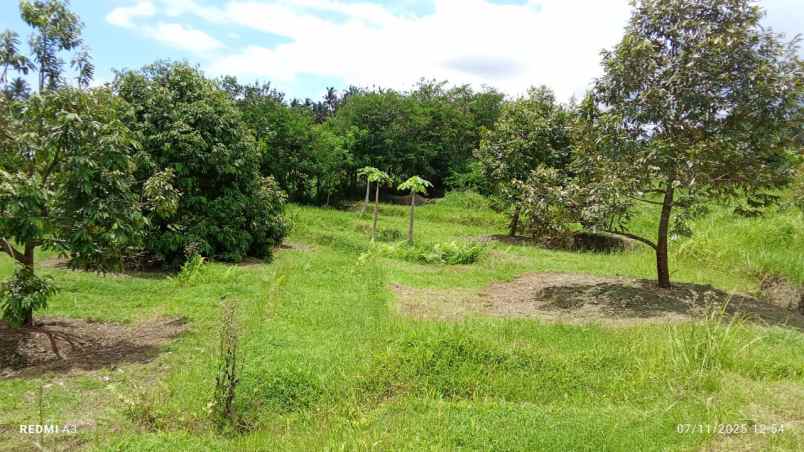 dijual tanah desa tiyinggading kec