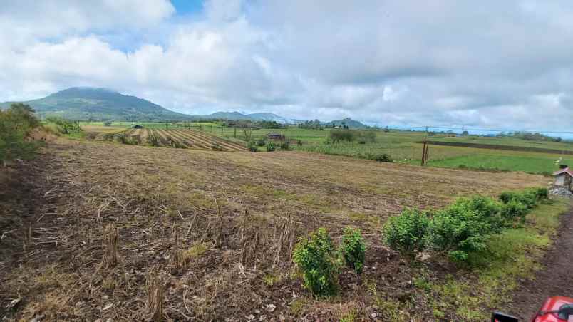 dijual tanah dijual tanah bersebelahan