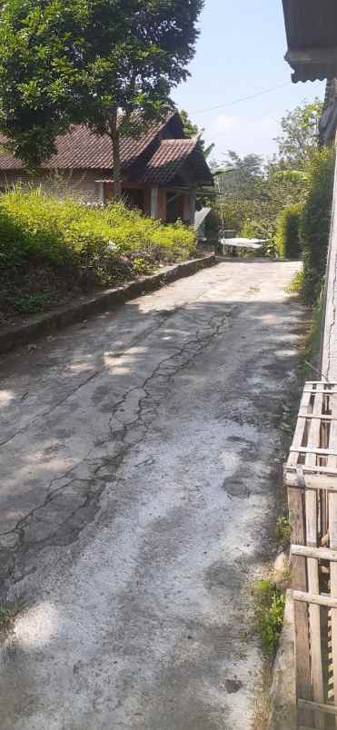 dijual tanah dijual tanah bonus rumah