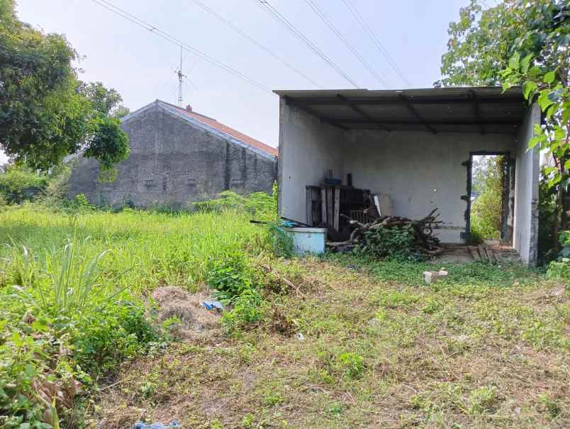 dijual tanah jalan elang