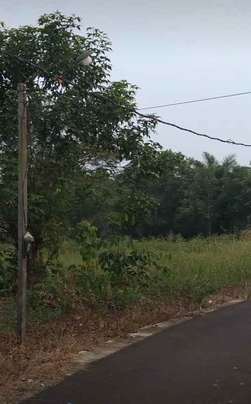 dijual tanah jalan selat panjang mega