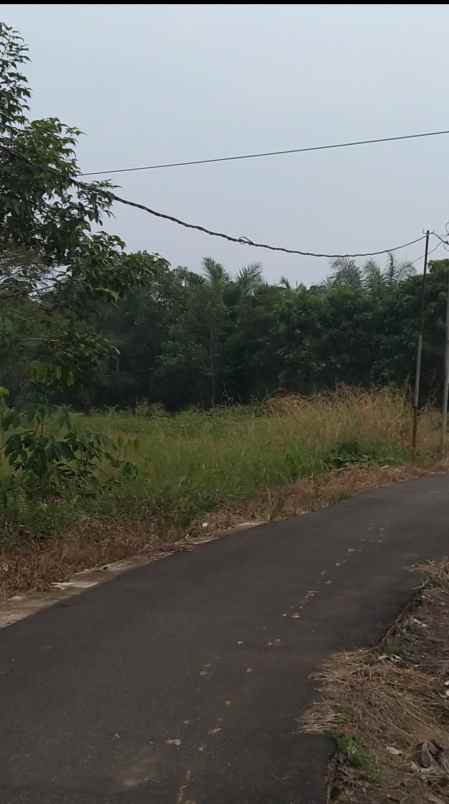 dijual tanah jalan selat panjang mega