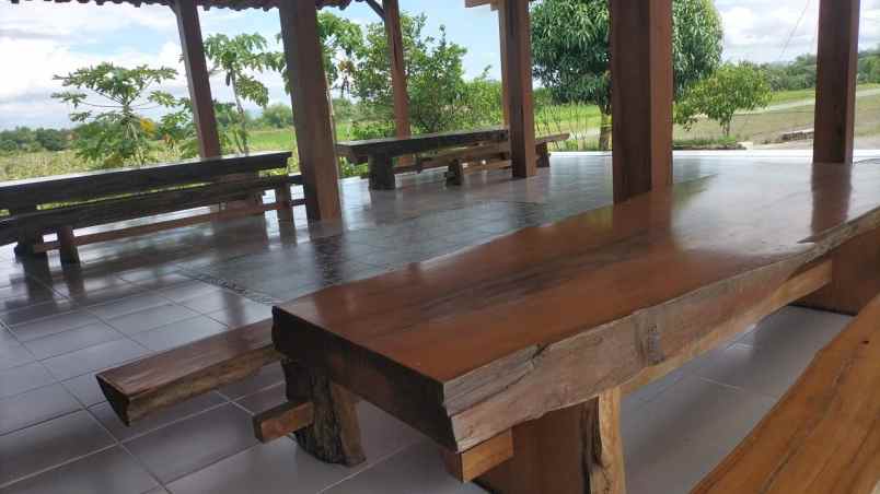 dijual tanah janti