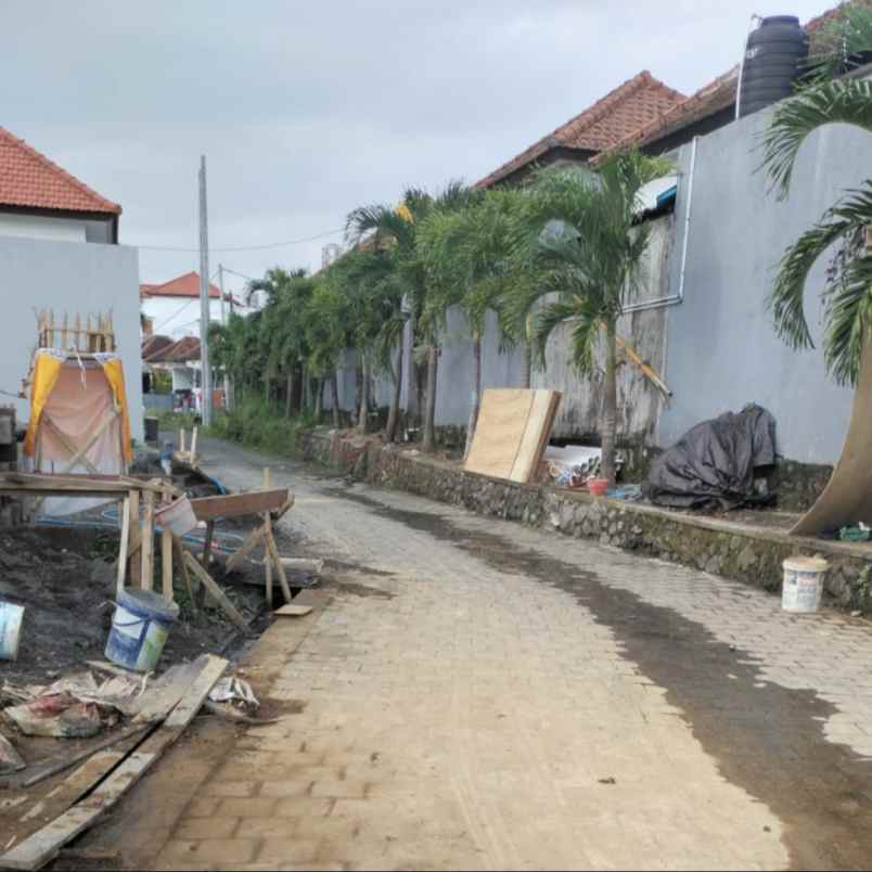 dijual tanah jl cendrawasih