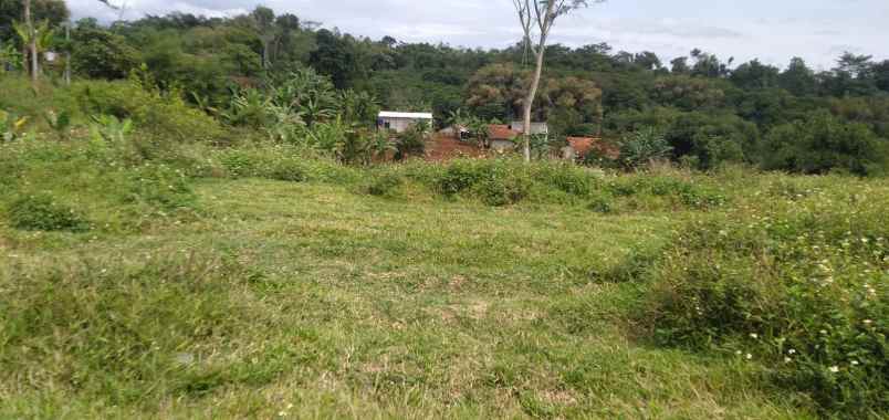 dijual tanah jl cijeruk