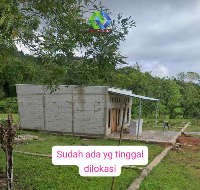 dijual tanah jl desa purnakarya kalukua