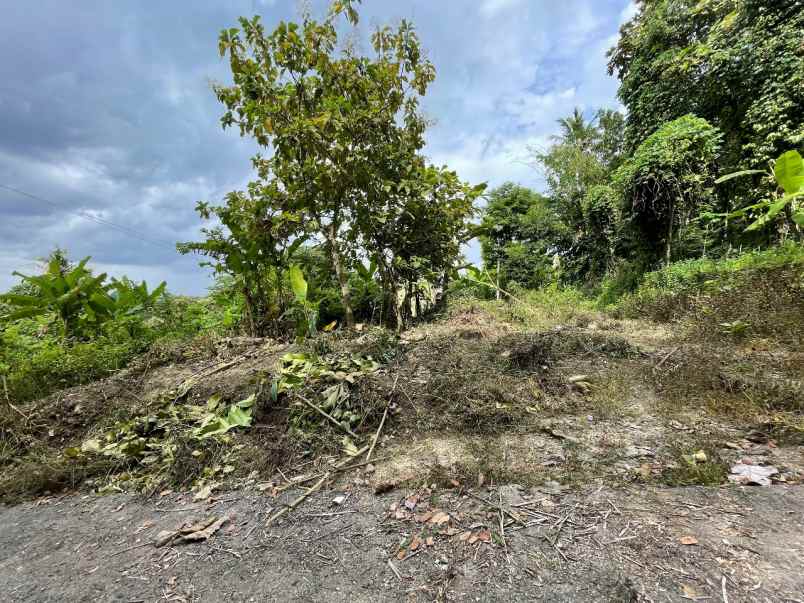 dijual tanah jl jogja wates balecatur