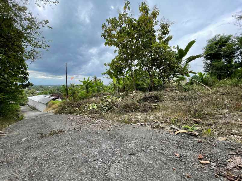 dijual tanah jl jogja wates balecatur