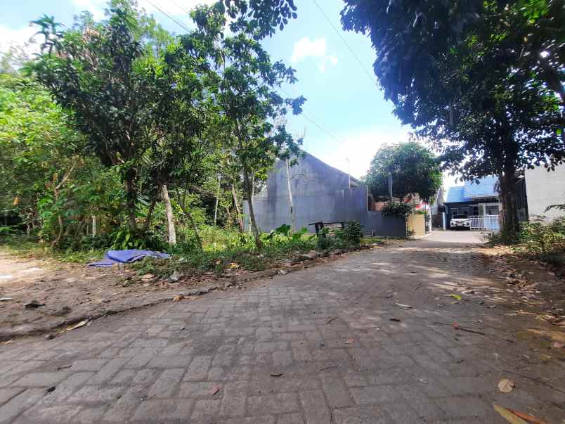 dijual tanah jl kaliurang km 13 ngaglik