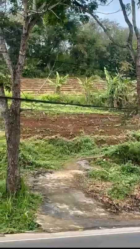 dijual tanah jl nasional iii ciaro