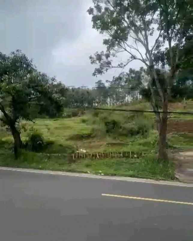 dijual tanah jl nasional iii ciaro