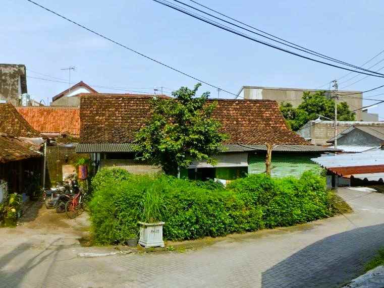 dijual tanah jl pandega