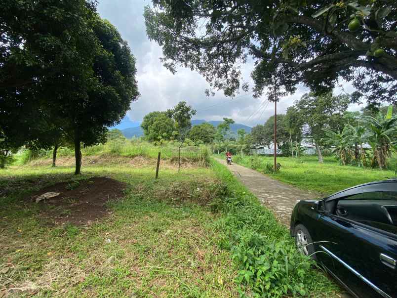 dijual tanah jl raya cijeruk bogor