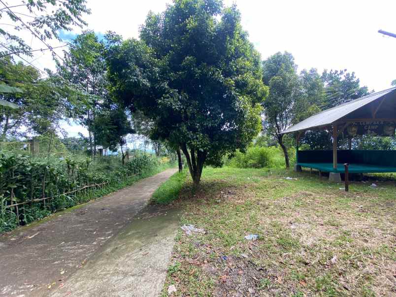 dijual tanah jl raya cijeruk bogor