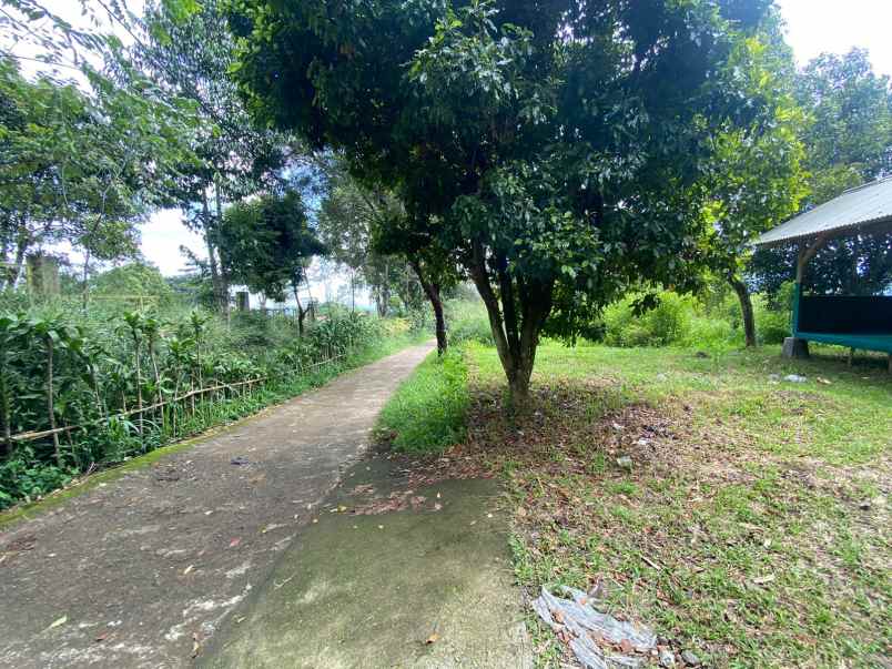 dijual tanah jl raya cijeruk bogor