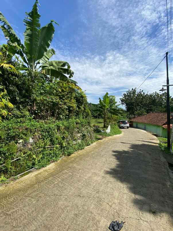 dijual tanah jl raya cijeruk bogor