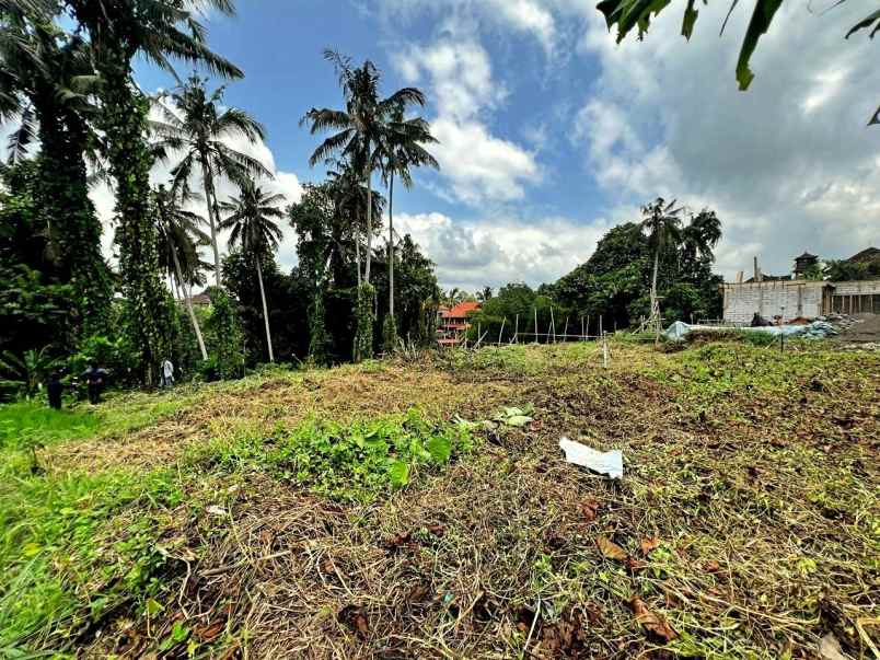 dijual tanah jl tirta tawar ubud gianyar bali