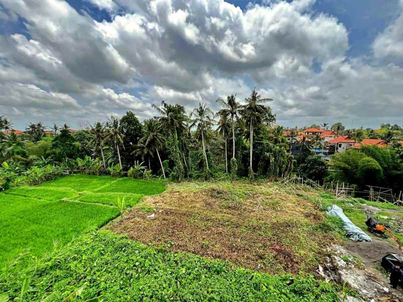 dijual tanah jl tirta tawar ubud gianyar bali