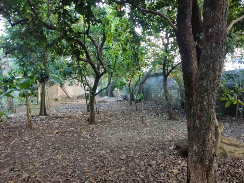 dijual tanah kp nyangkokot pasir randu