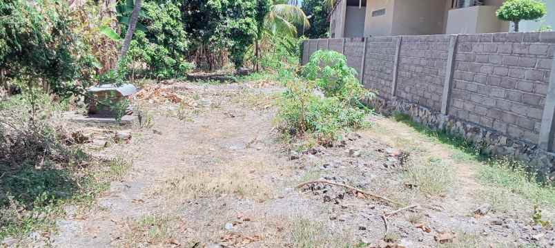 dijual tanah lovina sentral