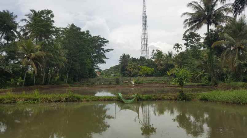 dijual tanah luas strategis di karang tengah cianjur