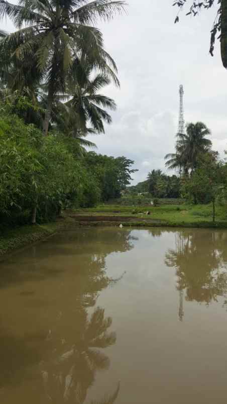 dijual tanah luas strategis di karang tengah cianjur