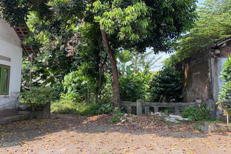 dijual tanah maguwoharjo