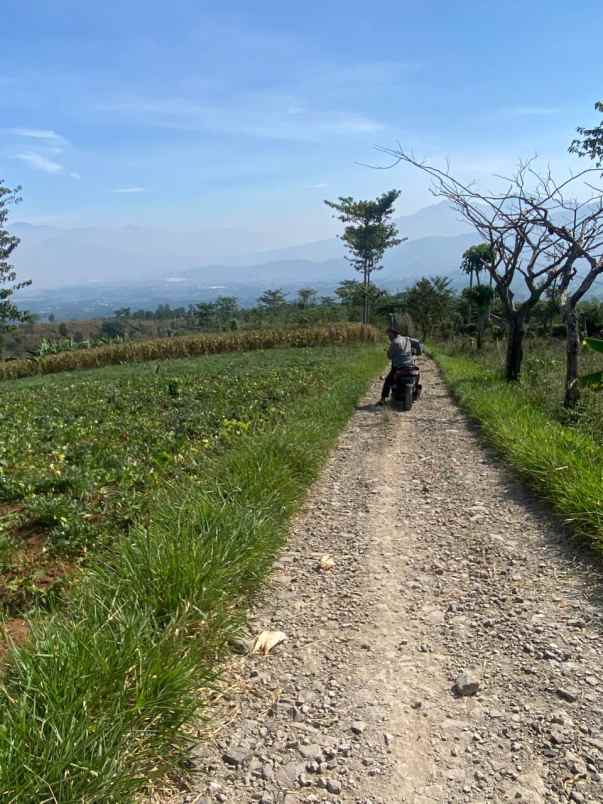 dijual tanah mandalawangi