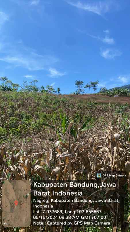 dijual tanah mandalawangi