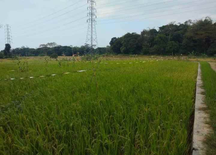 dijual tanah pancalang