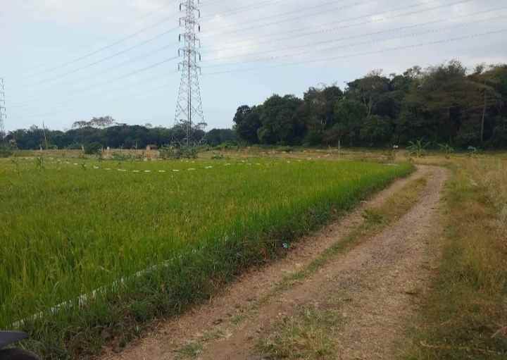 dijual tanah pancalang