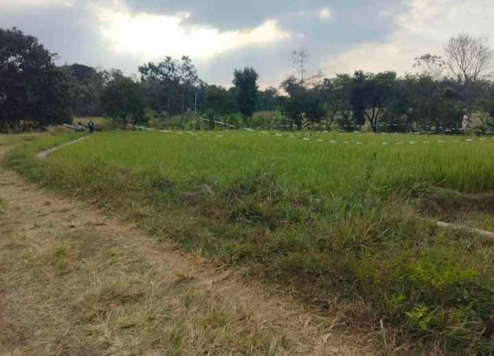 dijual tanah pancalang