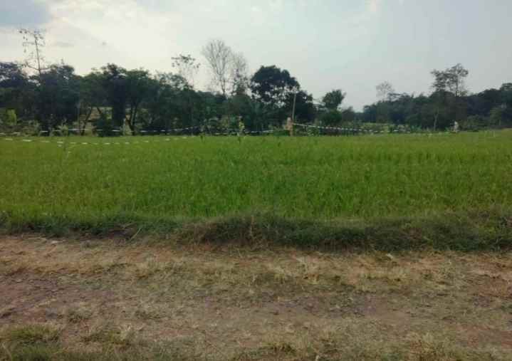 dijual tanah pancalang