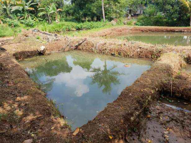 dijual tanah parung poncol rt 01 rw 02