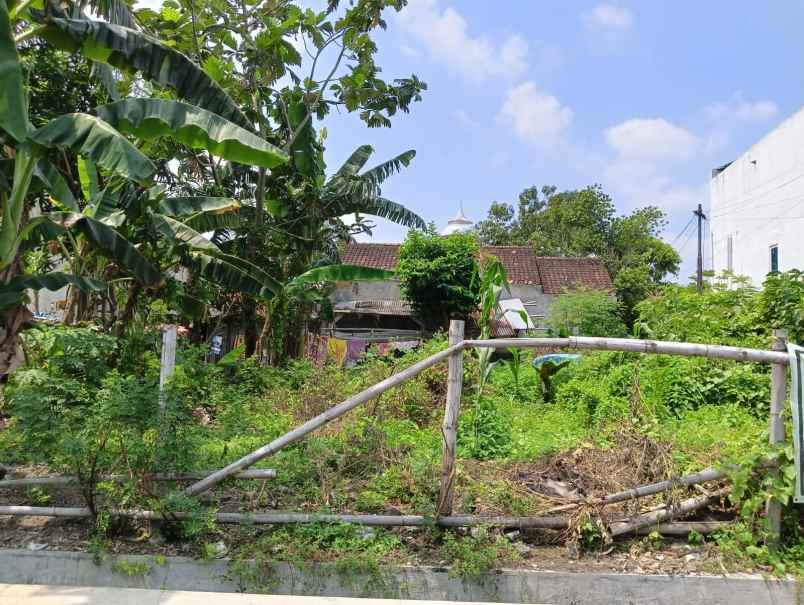 dijual tanah pedurungan