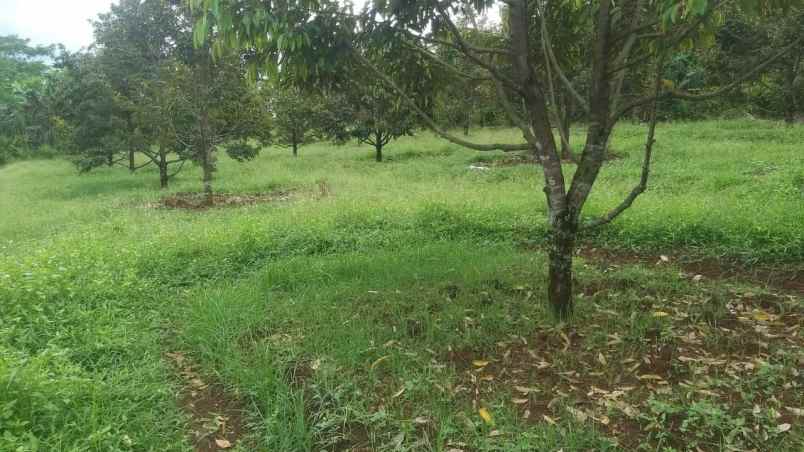 dijual tanah pekalongan kabupaten