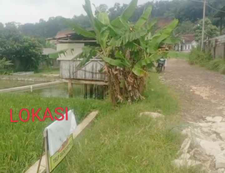 dijual tanah pinggir jl desa di beber cirebon