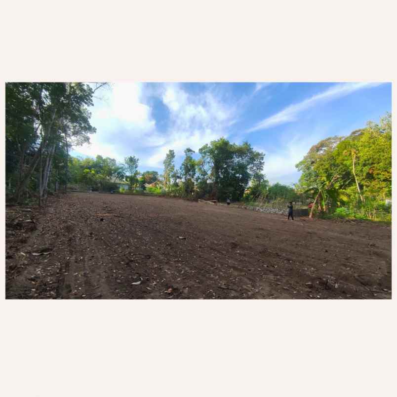 dijual tanah pondok wonolelo