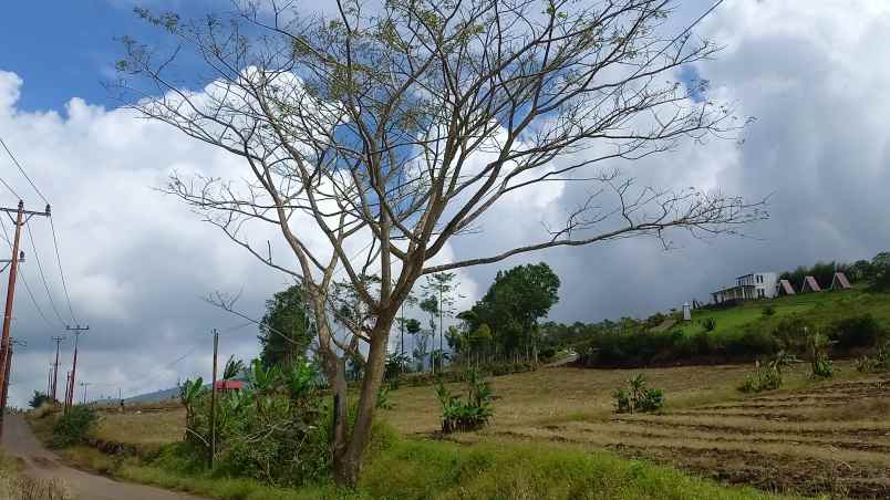 dijual tanah puncak wawo tomohon samping cartenz hills