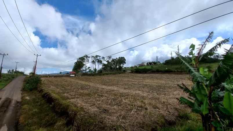 dijual tanah puncak wawo tomohon samping cartenz hills