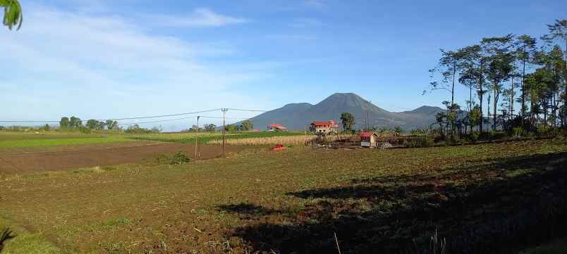 dijual tanah puncak wawo tomohon samping cartenz hills