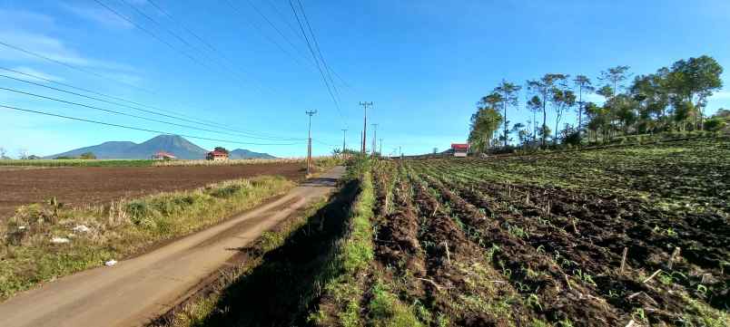 dijual tanah puncak wawo tomohon samping cartenz hills