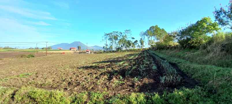 dijual tanah puncak wawo tomohon samping cartenz hills