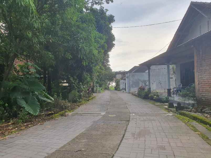 dijual tanah sardonoharjo kec ngaglik